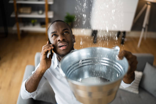 Best 24/7 water damage repair  in Venice, FL