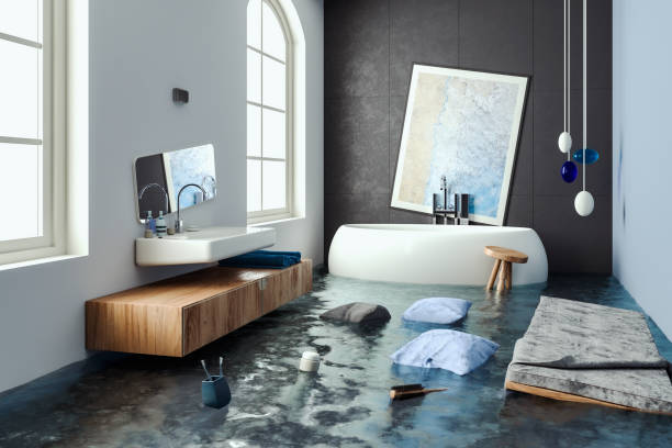 Best Mold removal after water damage  in Venice, FL