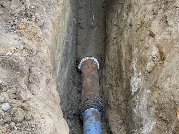 Best Sewage cleanup and water damage restoration  in Venice, FL