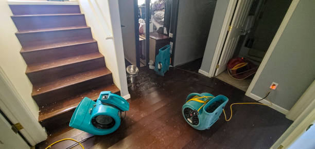 Best 24-hour water damage restoration  in Venice, FL
