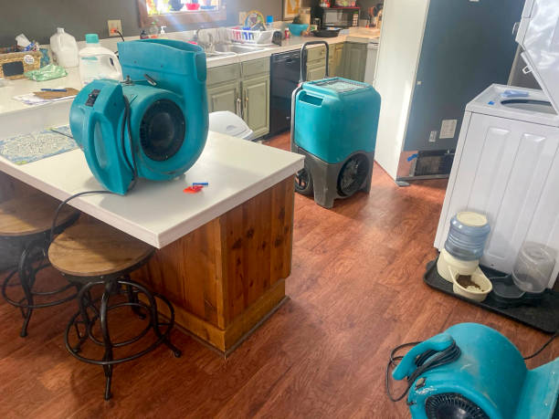 Best Fire Damage Restoration  in Venice, FL