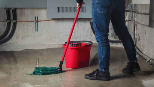 Best Ceiling water damage repair  in Venice, FL