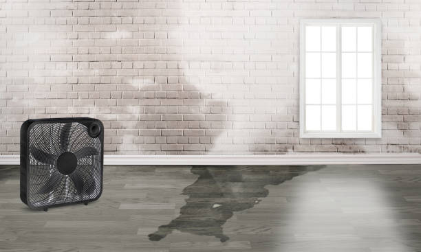 Best Residential water damage restoration  in Venice, FL