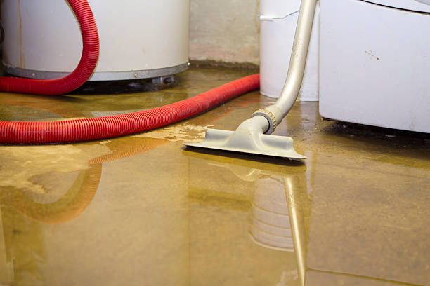 Best Emergency water extraction  in Venice, FL