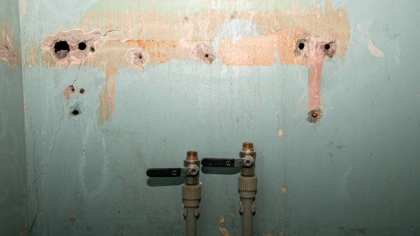 Best Emergency water damage restoration  in Venice, FL