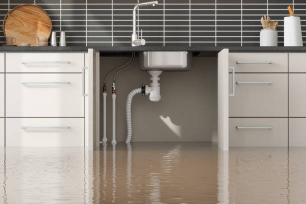 Best Flood restoration services  in Venice, FL