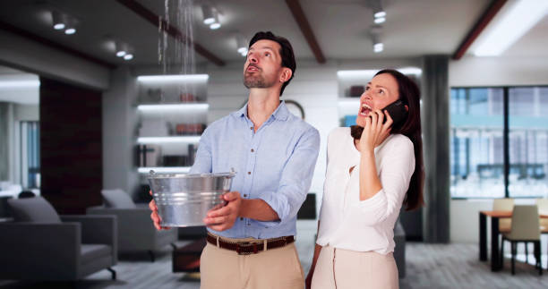 Best Flood damage cleanup  in Venice, FL