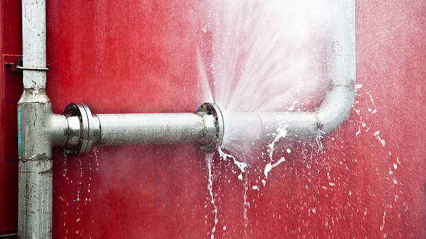 Best Flooded house restoration  in Venice, FL